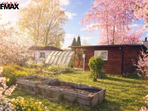 Prodej zahrady, Nová Role, 496 m2