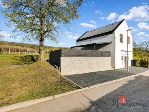 Prodej rodinného domu, Popice, 50 m2