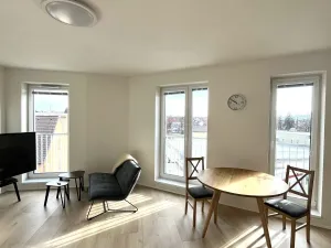 Pronájem bytu 1+kk, České Budějovice - České Budějovice 5, Dobrovodská, 41 m2