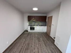 Pronájem bytu 2+kk, Blovice, Habrová, 45 m2