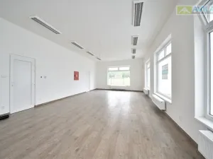 Pronájem obchodního prostoru, Týnec nad Sázavou, K Lesíku, 108 m2