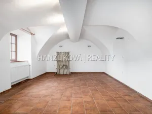 Prodej vícegeneračního domu, Chlum u Třeboně, Hejtmanská hráz, 1253 m2