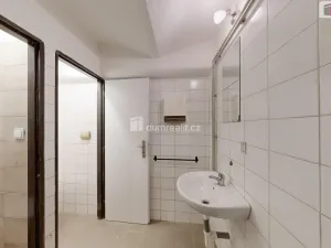 Pronájem komerční nemovitosti, Opava - Předměstí, Pekařská, 120 m2