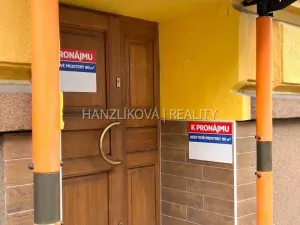 Pronájem obchodního prostoru, České Budějovice, Dvořákova, 80 m2