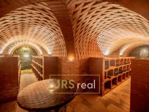 Prodej - jiné, Čejkovice, 468 m2