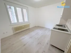 Pronájem bytu 1+kk, Praha - Žižkov, Baranova, 20 m2