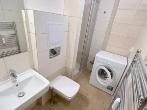 Pronájem bytu 1+kk, Praha - Žižkov, Baranova, 20 m2