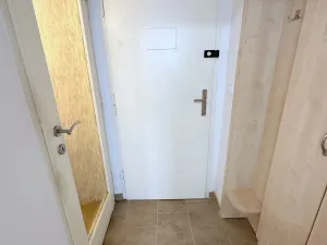 Pronájem bytu 1+kk, Praha - Žižkov, Baranova, 20 m2