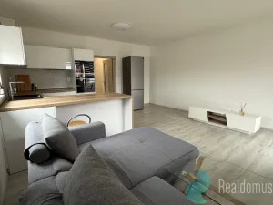 Pronájem bytu 2+kk, Trhové Sviny, Za Pilou, 49 m2