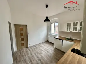 Pronájem bytu 1+1, Děčín - Děčín IV-Podmokly, Teplická, 47 m2