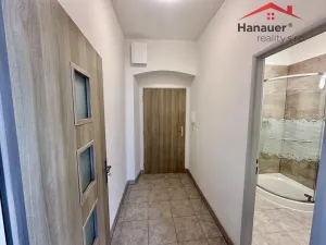 Pronájem bytu 1+1, Děčín - Děčín IV-Podmokly, Teplická, 47 m2