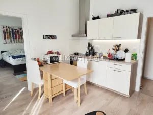 Pronájem bytu 2+kk, České Budějovice - České Budějovice 2, U Boru, 38 m2