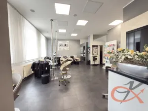 Prodej komerční nemovitosti, Prostějov, Blahoslavova, 250 m2