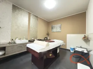 Prodej komerční nemovitosti, Prostějov, Blahoslavova, 250 m2