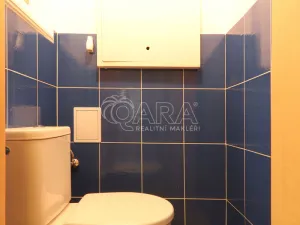 Pronájem bytu 2+kk, Praha - Dejvice, Koulova, 40 m2