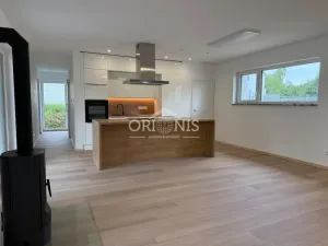 Pronájem domu na klíč, Chomutov, Březový vrch, 110 m2