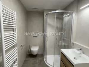 Pronájem bytu 1+kk, České Budějovice, Hálkova, 24 m2