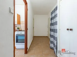 Prodej bytu 1+1, Plzeň, Smrková, 42 m2