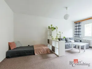 Prodej bytu 1+1, Plzeň, Smrková, 42 m2