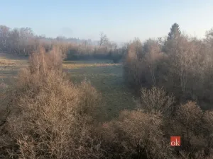 Prodej pozemku pro bydlení, Strašín, 3363 m2