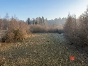 Prodej pozemku pro bydlení, Strašín, 3363 m2