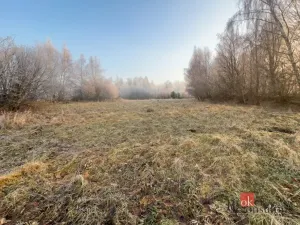 Prodej pozemku pro bydlení, Strašín, 3363 m2