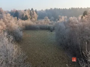 Prodej pozemku pro bydlení, Strašín, 3363 m2