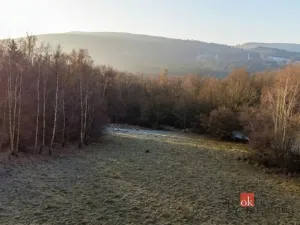 Prodej pozemku pro bydlení, Strašín, 3363 m2