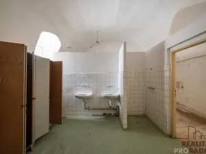 Prodej výrobních prostor, Chudenice, Mírové nám., 1906 m2