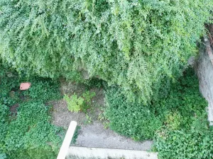 Pronájem bytu 1+kk, Praha - Břevnov, Na Petynce, 15 m2