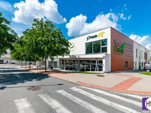 Pronájem bytu 4+kk, Praha, K Beranovu, 227 m2