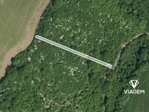 Prodej lesa, Březolupy, 1255 m2