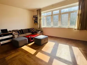 Pronájem bytu 1+1, Brno, Údolní, 51 m2