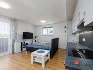 Pronájem bytu 1+kk, Heřmanova Huť - Vlkýš, U Pondu, 40 m2