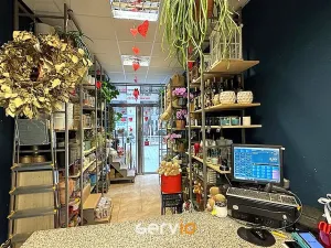 Pronájem obchodního prostoru, Brno, Kobližná, 26 m2