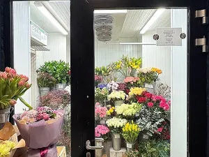 Pronájem obchodního prostoru, Brno, Kobližná, 26 m2