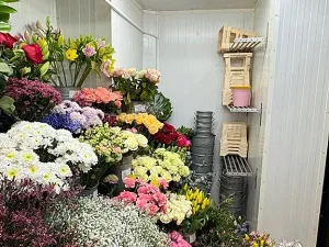 Pronájem obchodního prostoru, Brno, Kobližná, 26 m2