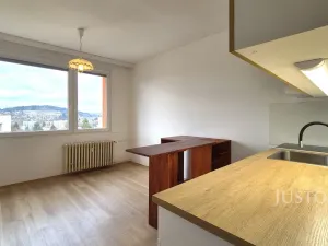 Pronájem bytu 1+1, Písek - Budějovické Předměstí, třída Přátelství, 36 m2