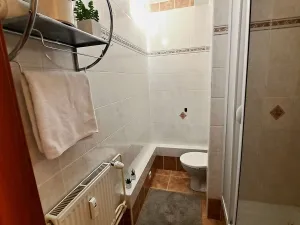 Pronájem bytu 1+1, Brno, Součkova, 40 m2