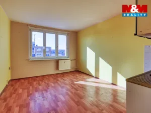 Prodej bytu 1+kk, Nové Sedlo, Sadová, 20 m2
