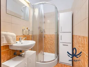 Pronájem bytu 2+kk, Mladá Boleslav, 17. listopadu, 45 m2