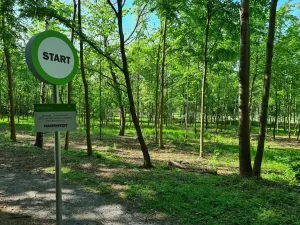 Pronájem kanceláře, Praha - Chodov, Tomíčkova, 500 m2