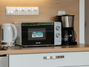 Pronájem bytu 1+kk, Praha - Vinohrady, Perucká, 25 m2