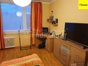 Pronájem bytu 1+1, Ústí nad Labem, Švestková, 38 m2