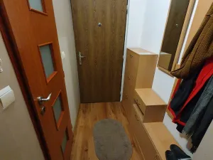 Pronájem bytu 1+1, Ústí nad Labem, Švestková, 38 m2