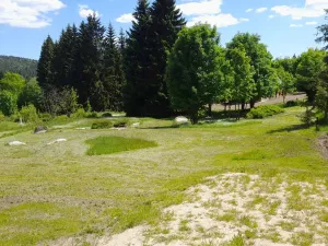 Prodej pozemku pro bydlení, Bedřichov, 2313 m2