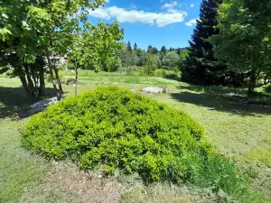 Prodej pozemku pro bydlení, Bedřichov, 2313 m2