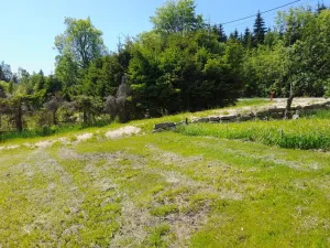 Prodej pozemku pro bydlení, Bedřichov, 2313 m2