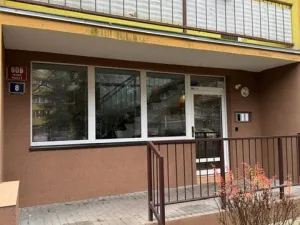 Prodej bytu 1+kk, Praha, Veltruská, 27 m2