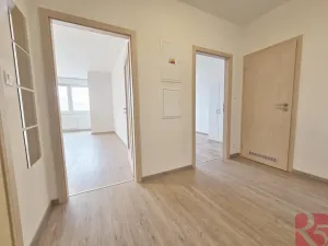 Pronájem bytu 2+kk, Praha - Žižkov, V zahrádkách, 55 m2